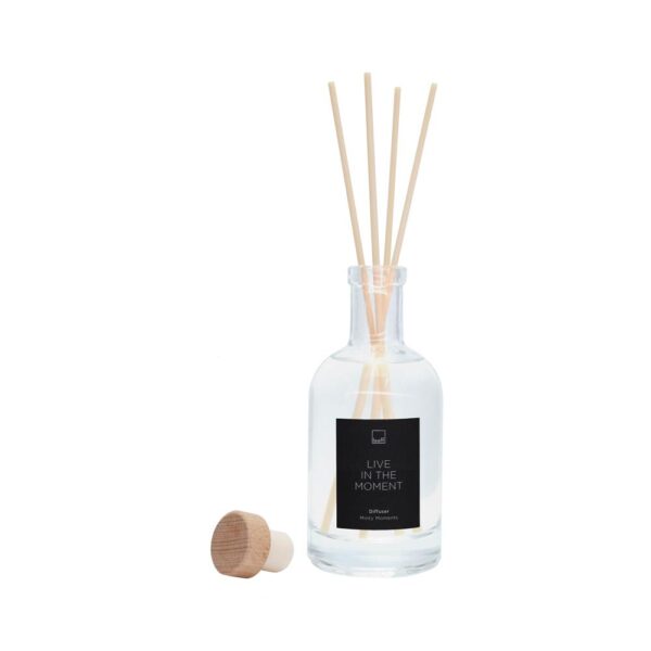 Leeff Diffuser Minty Moments - Live in the moment