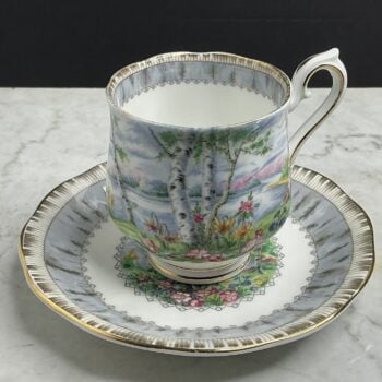 Royal Albert Silver Birch – vintage kop en schotel met landschapsdecor